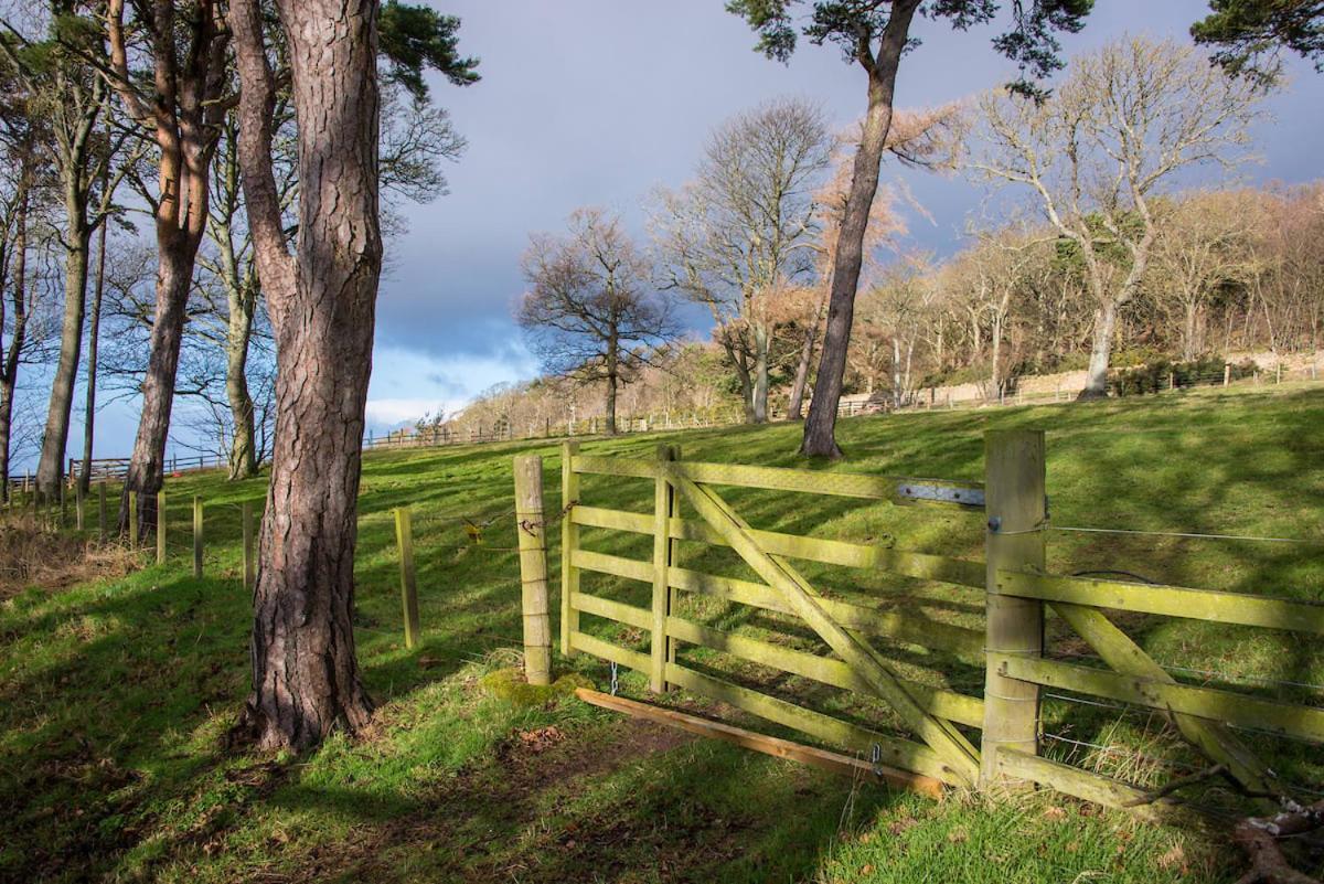 Stunning Stables Cottage In East Lothian Country Estate بيرويك الشمالية المظهر الخارجي الصورة